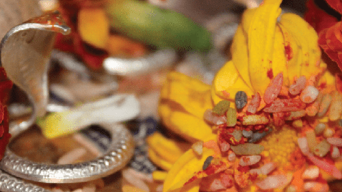 Naag Bali Shradh in Prayagraj