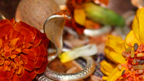 Naag Bali Shradh in Prayagraj
